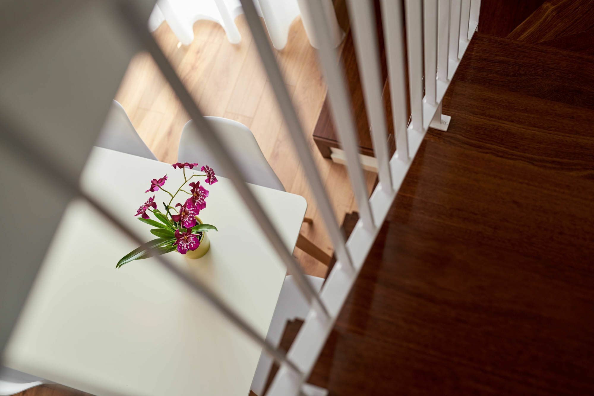 פורטו Apartamentos Ponte Nova מראה חיצוני תמונה